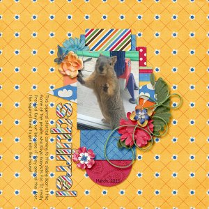 squirrel