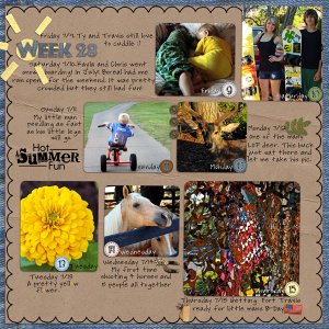 Week 28, 2010