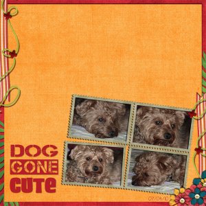 Dog Gone Cute