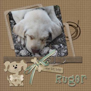 No Bones about it- Ruger