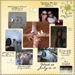 Project 52 week 29