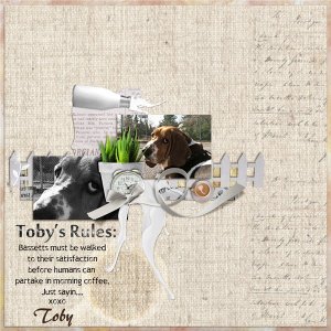 Toby's Rules-web