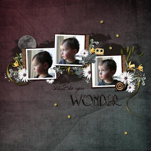 What Do You Wonder