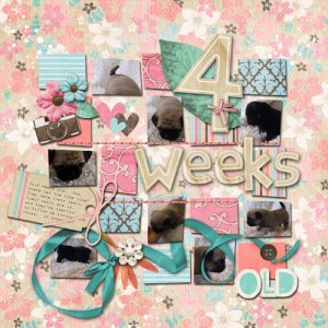 4 weeks old
