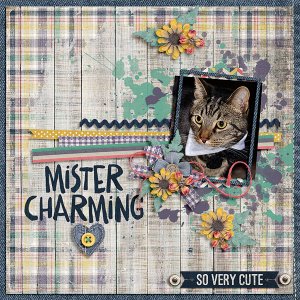 mister charming