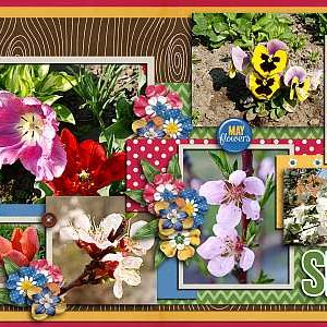 May flowers