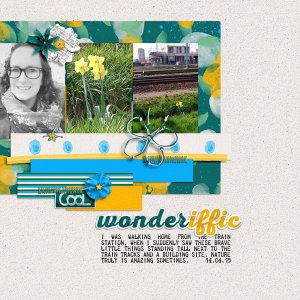 Wonderiffic