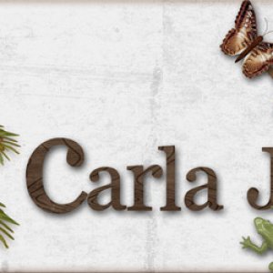 Carla Jo Signature May 2015