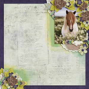 Spring Pony