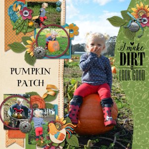 Pumpkin Patch