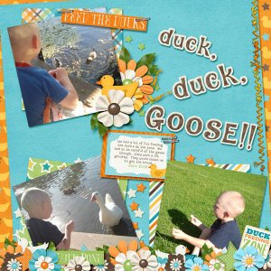 Duck, duck, goose!