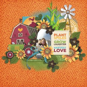 Harvest love