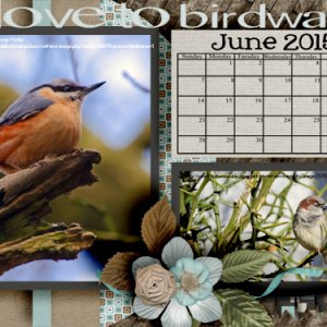 I Love to Birdwatch
