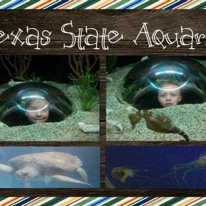 Texas State Aquarium