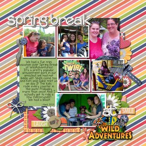 Wild Adventures