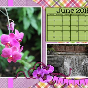 June Calendar