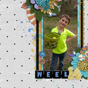 P52 | Week 14