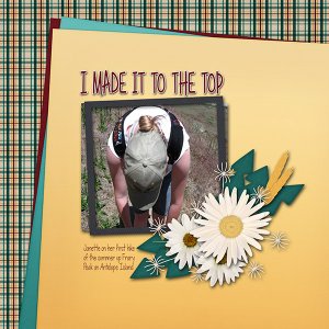 I Made it to the Top