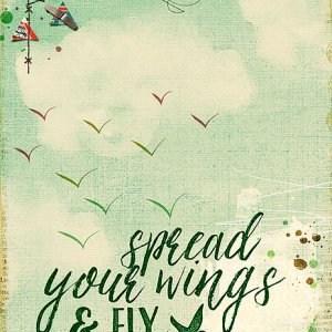 Fly