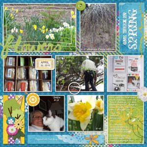 PS_-_GS_Project_2015_4-30-5-6