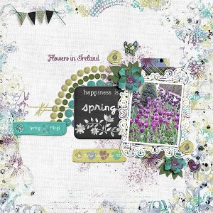 2015-05 inspiration