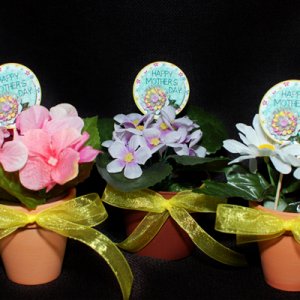 flower pots