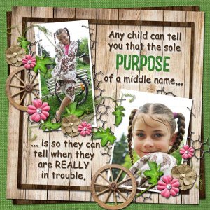Purpose
