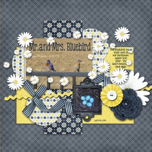 Mr. and Mrs. Bluebird