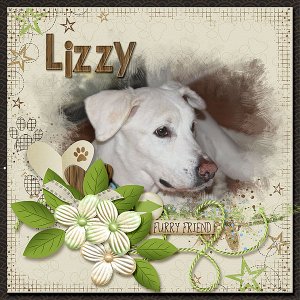 Lizzy
