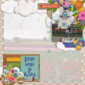 Rainy Tulip Day