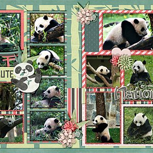 pandamonium1