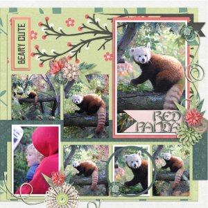 Red Panda )Right)