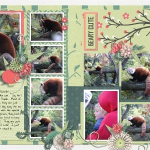 Red Panda