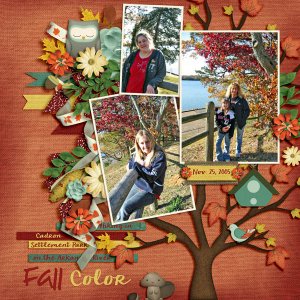 Fall Color