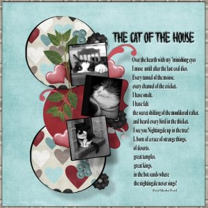 The Cat in the House