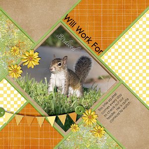 Will Work For Birdseed