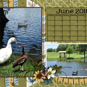 June desktop