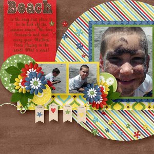 BD-Beach2015