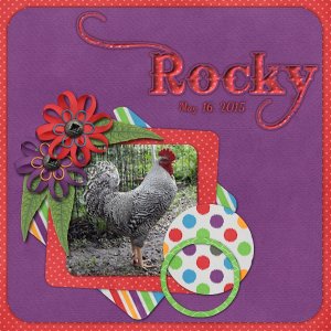 Rocky