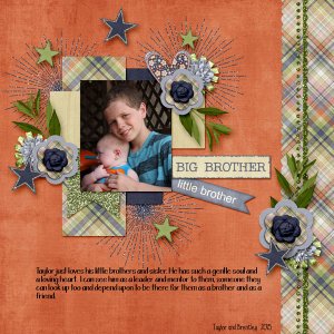 Big Brother_Little Brother