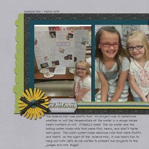 Science Fair_2014