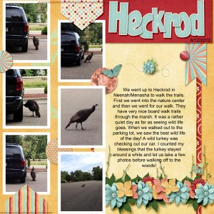 Heckrod Turkey