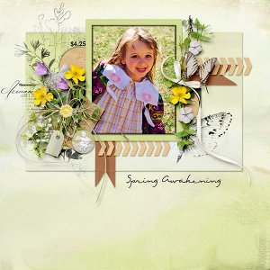 Spring Awakening