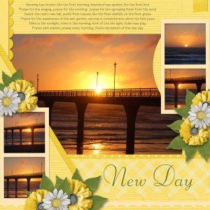 New Day