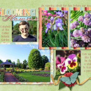 Blooming Flowers