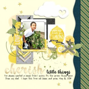 Cherish Little Things