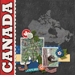 Canadian Wildlife