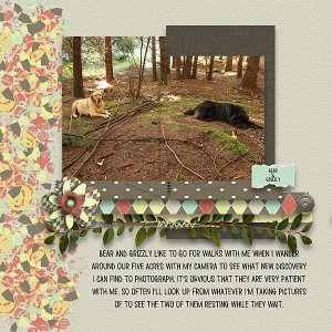 Doggy Friends