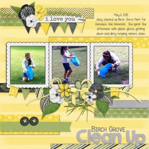 Birch Grove Clean Up