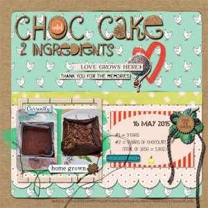 Choc Cake